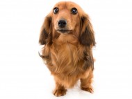 tn13サーチンcs_K9A1797