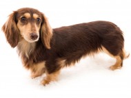 tn14カヌレcs_K9A1822 tn14カヌレcs_K9A1822