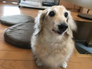 写真 2017-08-02 12 35 20 写真 2017-08-02 12 35 20