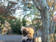 8acceptance 8acceptance