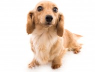 tn09コメロ_K9A1713 tn09コメロ_K9A1713