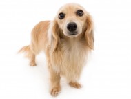 tn04スカッシュ_J9A1111 tn04スカッシュ_J9A1111