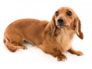 tn06ユーツー_K9A1615