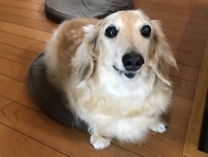 写真 2017-08-02 12 34 18 写真 2017-08-02 12 34 18