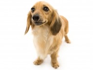 tn13シエラEE5A5492