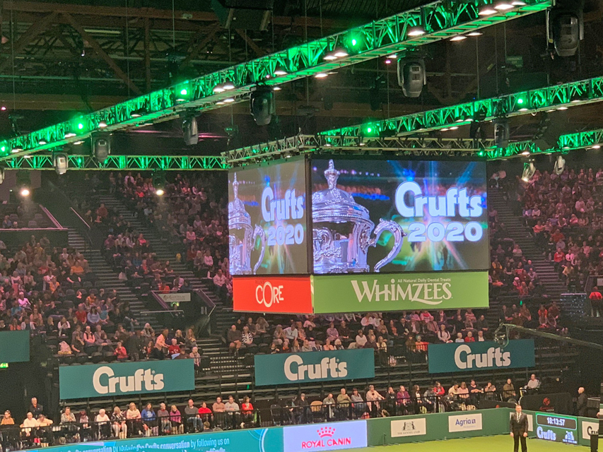 Crufts 2020 ハウンドグループ戦