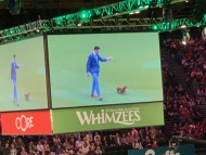 Crufts1983 Crufts1983