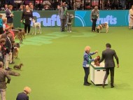 Crufts1989 Crufts1989