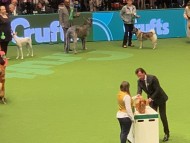 Crufts2004 Crufts2004