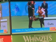 Crufts2006 Crufts2006