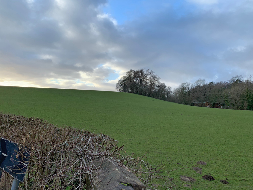 Crufts 2020 ウェールズにて (その2)Crufts202012 Crufts 2020 ウェールズにて (その2)