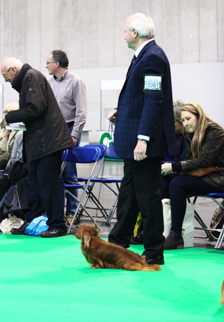 Crufts 2020 ショー会場