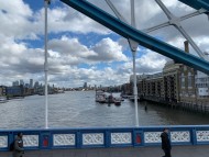 Crufts202025 Crufts202025