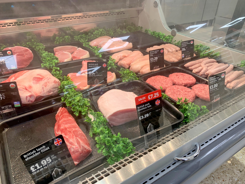 Crufts 2020 ウェールズにてCrufts2020261 Crufts 2020 ウェールズにて