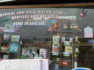 Crufts2020268 Crufts2020268