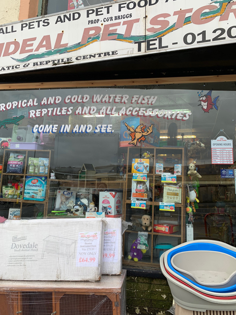 Crufts 2020 ウェールズにてCrufts2020268 Crufts 2020 ウェールズにて