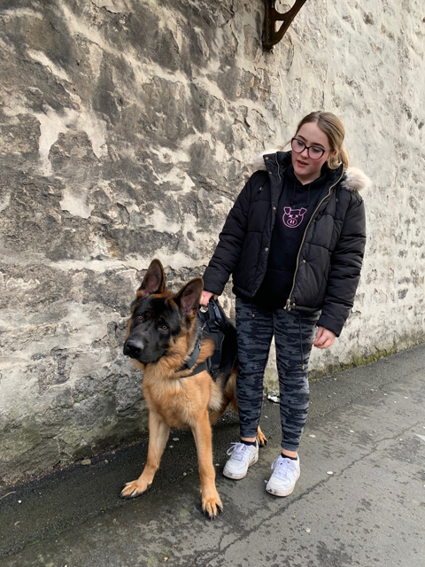 Crufts 2020 ウェールズにてCrufts2020274 Crufts 2020 ウェールズにて