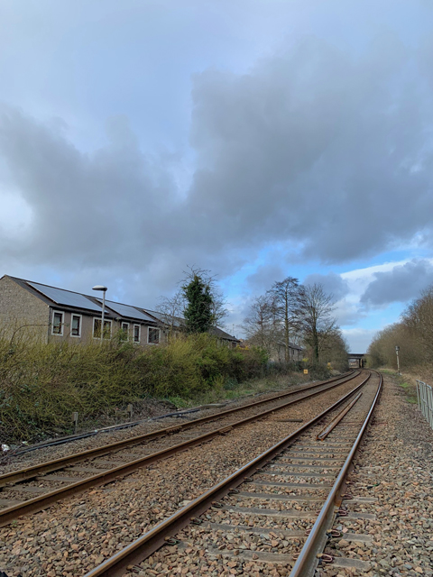 Crufts 2020 ウェールズにてCrufts2020288 Crufts 2020 ウェールズにて