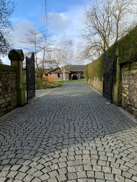 Crufts 2020 ウェールズにてCrufts2020297 Crufts 2020 ウェールズにて