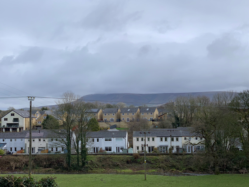 Crufts 2020 コテージ近くを散策Crufts202032 Crufts 2020 コテージ近くを散策