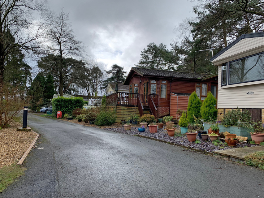 Crufts 2020 コテージ近くを散策Crufts202038 Crufts 2020 コテージ近くを散策