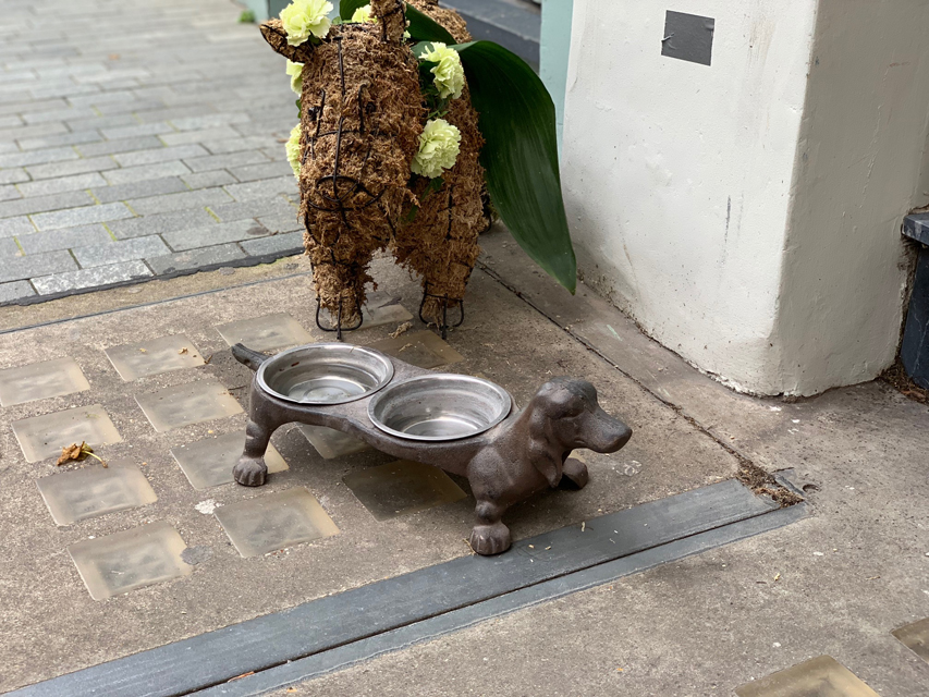 Crufts 2020 ロンドン最終日 空港へ向かっています