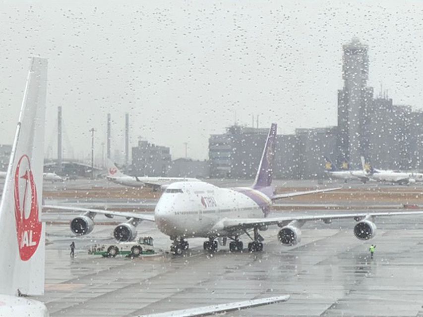 Crufts 2020 へ出発しましたCrufts20204 Crufts 2020 へ出発しました