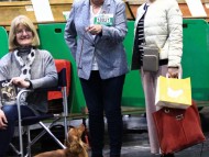 Crufts202040