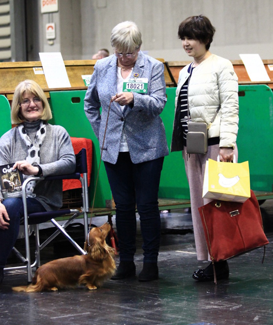 もはや鳩サブレーとダウンノートン