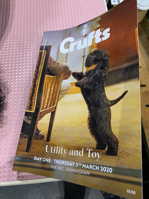 Crufts 2020 初日