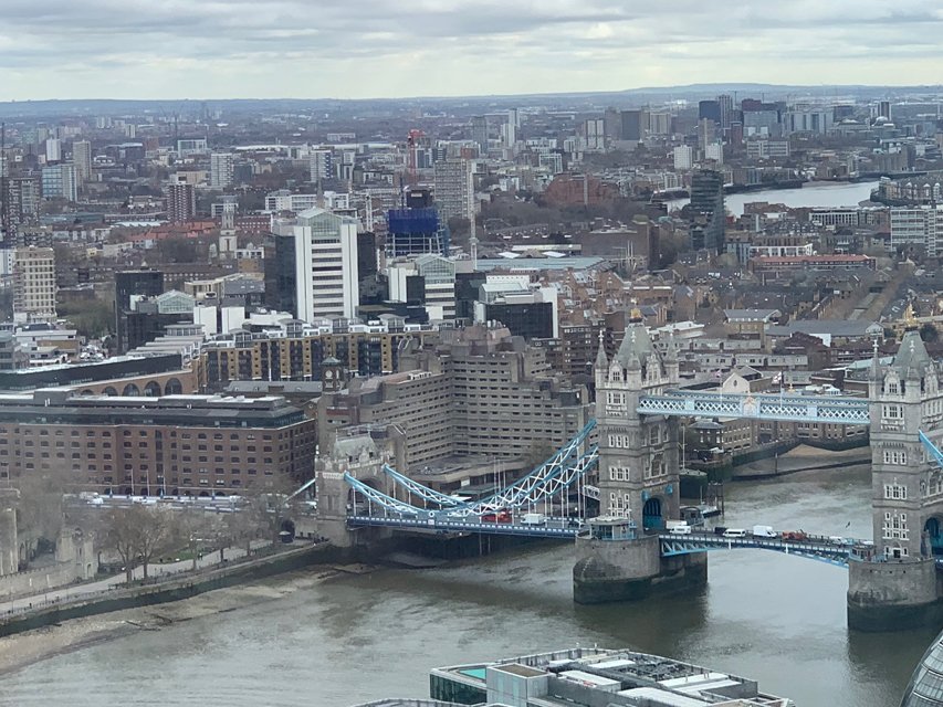 Crufts 2020 ロンドン最終日 空港へ向かっています
