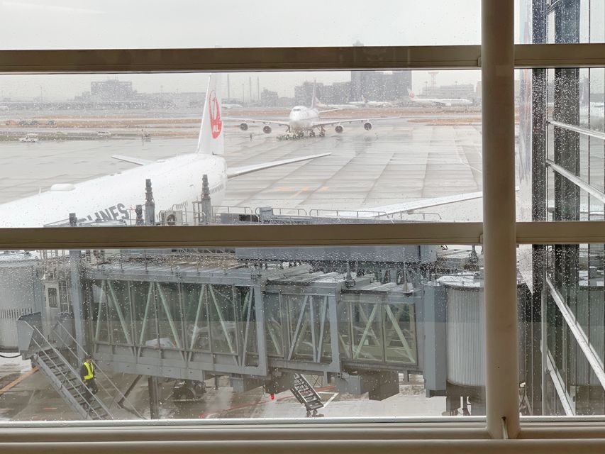 Crufts 2020 へ出発しましたCrufts20205 Crufts 2020 へ出発しました