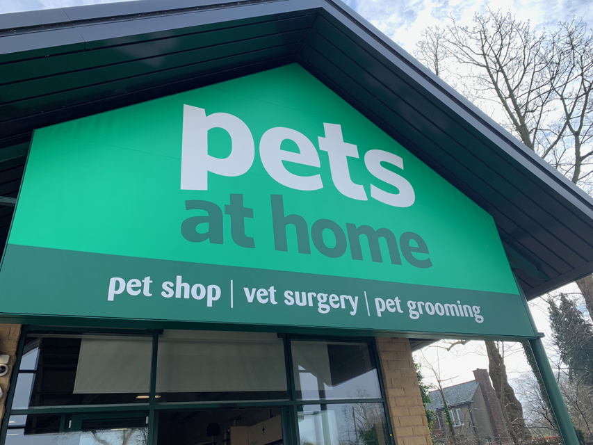 Crufts 2020 ウェールズからバーミンガムへの移動途中Crufts202050 Crufts 2020 ウェールズからバーミンガムへの移動途中