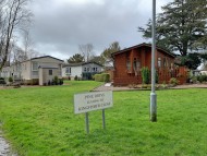 Crufts202051 Crufts202051