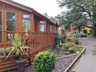 Crufts202052 Crufts202052