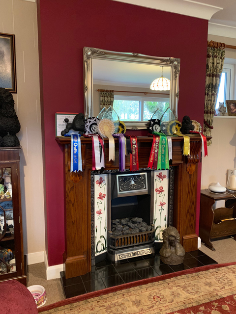 Crufts 2020 ウェールズからバーミンガムへの移動途中Crufts202054 Crufts 2020 ウェールズからバーミンガムへの移動途中