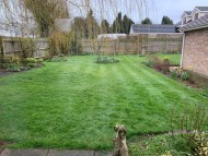 Crufts202059 Crufts202059