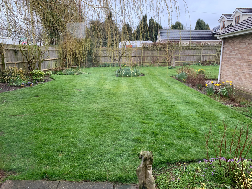 Crufts 2020 ウェールズからバーミンガムへの移動途中Crufts202059 Crufts 2020 ウェールズからバーミンガムへの移動途中