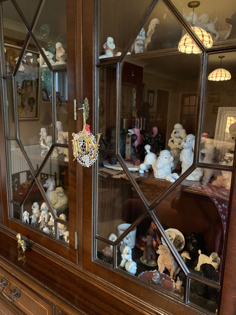 Crufts 2020 ウェールズからバーミンガムへの移動途中Crufts202062 Crufts 2020 ウェールズからバーミンガムへの移動途中