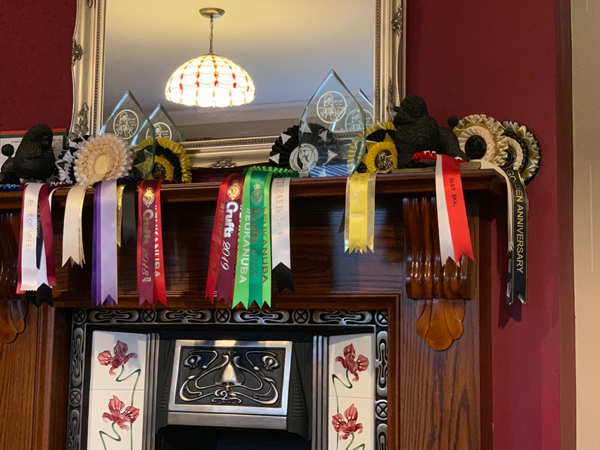 Crufts 2020 ウェールズからバーミンガムへの移動途中Crufts202065 Crufts 2020 ウェールズからバーミンガムへの移動途中