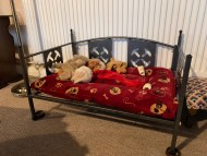 Crufts202066 Crufts202066