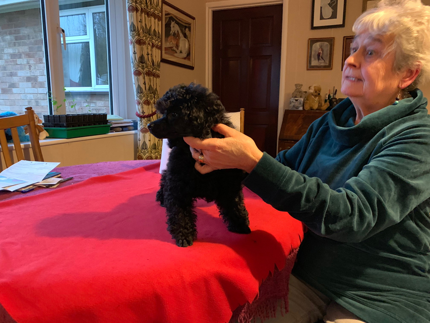 Crufts 2020 ウェールズからバーミンガムへの移動途中Crufts202068 Crufts 2020 ウェールズからバーミンガムへの移動途中