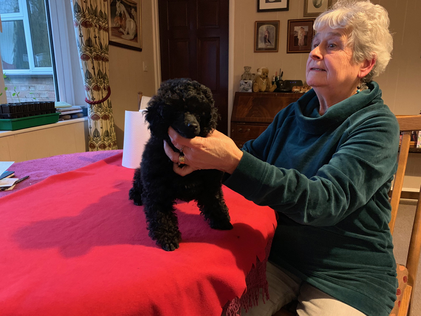 Crufts 2020 ウェールズからバーミンガムへの移動途中Crufts202069 Crufts 2020 ウェールズからバーミンガムへの移動途中