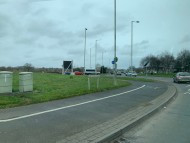 Crufts2082 Crufts2082