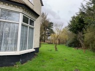 Crufts2085 Crufts2085