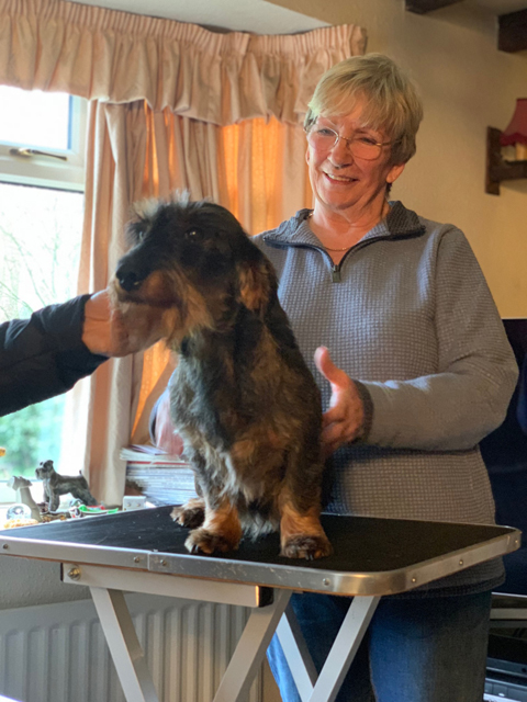 Crufts 2020 ハルンケ訪問中Crufts2140 Crufts 2020 ハルンケ訪問中