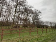 Crufts2142 Crufts2142