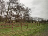 Crufts2143 Crufts2143