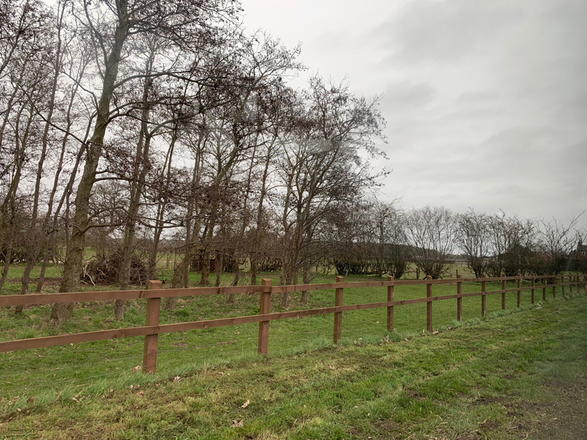 Crufts 2020 ハルンケ訪問中Crufts2143 Crufts 2020 ハルンケ訪問中