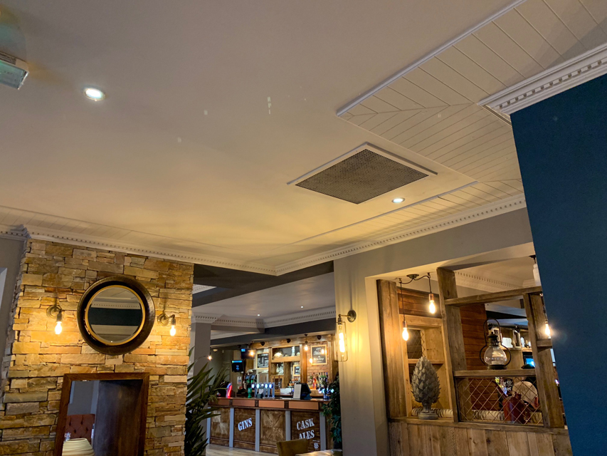 Crufts 2020 ハルンケ訪問中Crufts2146 Crufts 2020 ハルンケ訪問中